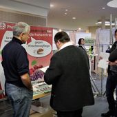 59. Veitshöchheimer Weinbautage, das Mekka der Fränkischen Winzer, zog 600 Winzer an - Veitshöchheim News