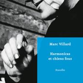 Harmonicas et chiens fous - Le blog de Yv
