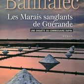 Les Marais sanglants de Guérande - Le blog de Yv