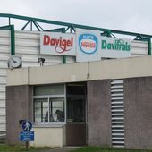 Nestlé veut vendre Davigel à son concurrent Brake