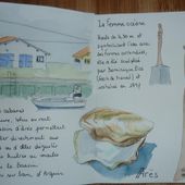 Carnet du Bassin d'Arcachon - 2 - Le blog de capucine-o2