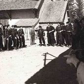 Les maquis des Bois Noirs (1ère partie) - Histoire et Généalogie