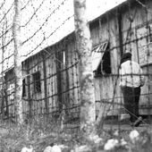 Les internés administratifs de l'Allier (1940-1944) - suite - Histoire et Généalogie