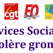 Plaidoyer pour le Travail Social, Intervention du 23 novembre en direction des représentants de l'administration parisienne - DASES / CASVP SUPAP-FSU