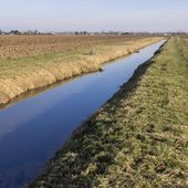 Agriculteurs et défenseurs de l'environnement divisés sur la nouvelle cartographie des cours d'eau