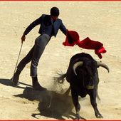 Laisse aller... - Le blog de michel.theron.over-blog.fr