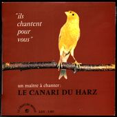 Le canari du Harz - l'oreille cassée
