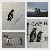 Pinkeep patagonien - chez Elisa