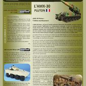 Milinfo-Focus n° 32 : l'AMX-30 Pluton au 1:48 de chez Master Fighter -
