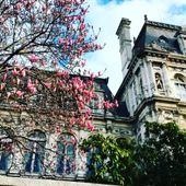 Paris en couleur