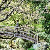 Dans les jardins d'Albert Kahn