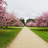 Parc de Sceaux