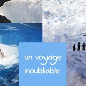Expédition au Glacier Fox ; un royaume de glace ! - mamzelle-bougeotte - voyages