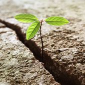 Pensée positive: comment faire pour devenir positif et le rester? - cancer santé médecines alternatives