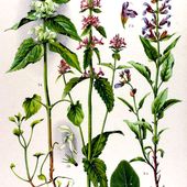 La liste noire des médicaments - - cancer - santé - médecines alternatives