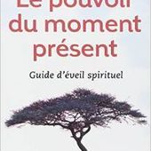 Eckhart Tollé - Le pouvoir du moment présent - MAEVIE