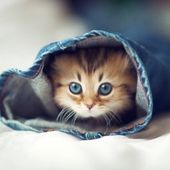 Le blog de manou60