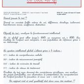 HP, Haut Potentiel, Surefficient, Précoce, Surdoué - Delphine Basson Psycho