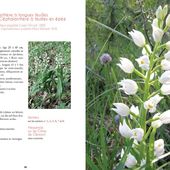 Un ouvrage pour les orchidophiles clermontois - Des fleurs à notre porte