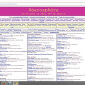 Le Web islamophobe (1/10) - Repères contre le racisme, pour la diversité et la solidarité internationale