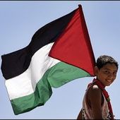 Documents : Palestine - Repères contre le racisme, pour la diversité et la solidarité internationale