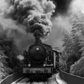 Les Chibanis de la SNCF (Radouane Slaoui) - Repères contre le racisme, pour la diversité et la solidarité internationale