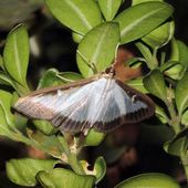 Exposition d'automne - Le blog du groupe nature