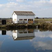 Randonnée les marais de la guittière à Talmont Saint-Hilaire - La Gazette des Olonnes