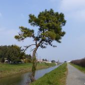 Randonnée du canal à Olonne sur Mer - La Gazette des Olonnes