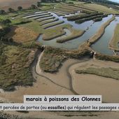 Portes des marais à Poissons : les Essailles - La Gazette des Olonnes