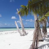 Photos de plages des Seychelles et recette pour rêver - Hélène SF