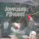 Cartes Joyeuses Pâques - Hélène SF