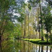 Promenade reposante marais poitevin - Hélène SF