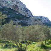 Balade dans les calanques de Niolon et la Vesse - Hélène SF
