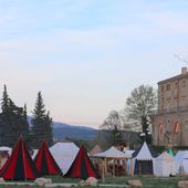 Foire du Roy René Peyrolles en Provence - Hélène SF