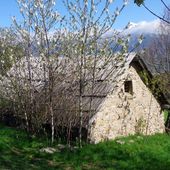 Petit trésor: grange ancienne face aux montagnes - Hélène SF