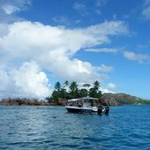 Snorkeling aux Seychelles autour de l'îlot Saint Pierre - Hélène SF