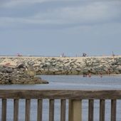 Le lac marin de Port d'Albret, superbes paysages, gens heureux et jolies barques! - Hélène SF