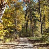 Couleurs d'automne, photos reposantes - Hélène SF