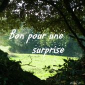 Carte Bon pour une surprise pour la Saint Valentin - Hélène SF