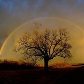 Chapitre 4 - J'ai vu un arc en ciel - Chemin de deuil