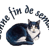 Sal libre ou en toute liberté 2016 - Les passions de Nath