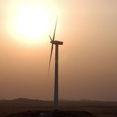 Google investit dans le plus grand projet éolien d'Afrique