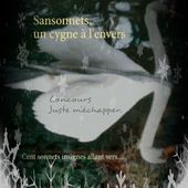 Concours de Noël.