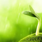 #Startup : zoom incubateur à Paris