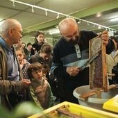 Le miel et les abeilles à la conquête du Centre Nature - Le Blog de l'Association du Centre Nature de Colombes
