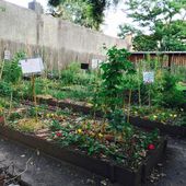 Inscriptions au Club Nature du Centre Nature - Le Blog de l'Association du Centre Nature de Colombes