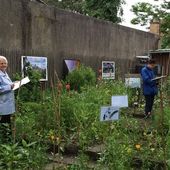 Ateliers "Dessinons au jardin !" - Le Blog de l'Association du Centre Nature de Colombes