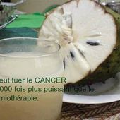 Le Corossol, un anticancéreux caché par l'industrie pharmaceutique - Astuces Beauté, Santé et Maison