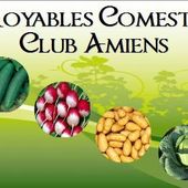 Incroyables Comestibles / Incredible Edible - BUSINESS AU FÉMININ
